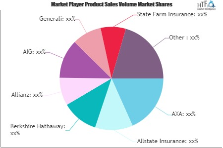 Learner Driver Insurance Market