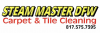 Company Logo For Steam Master DFW Carpet & Tile Clea'