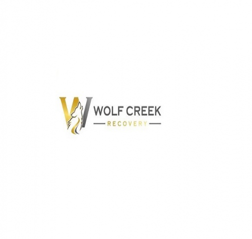 Company Logo For Wolf Creek Recovery'