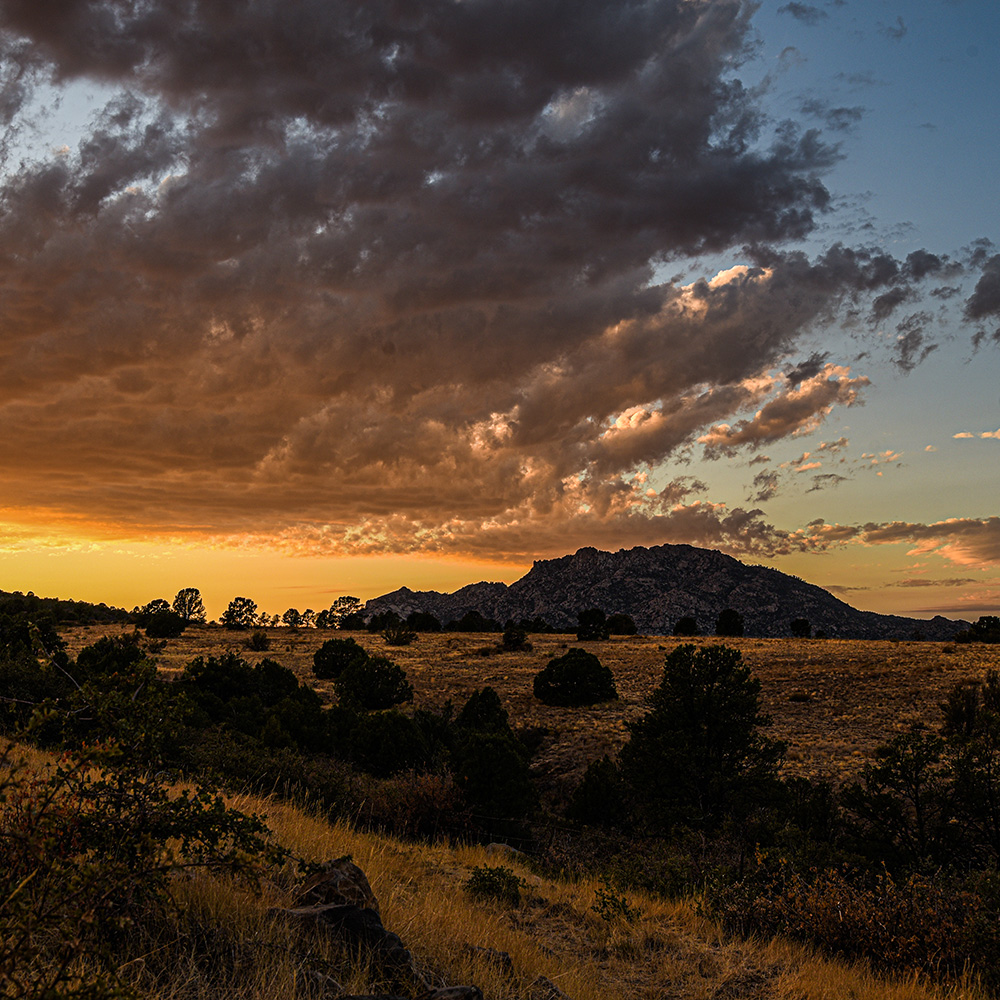 Company Logo For Wolf Creek Recovery'