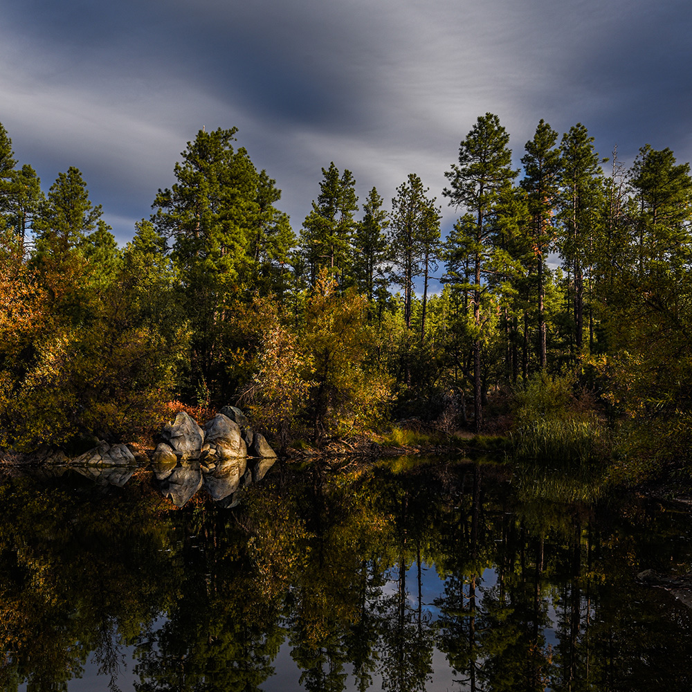 Company Logo For Wolf Creek Recovery'