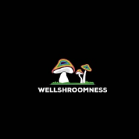 WellShroomNess- Dc First Mushroom Dispensary Logo