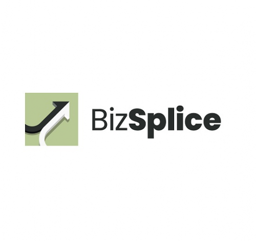 Company Logo For BizSplice'