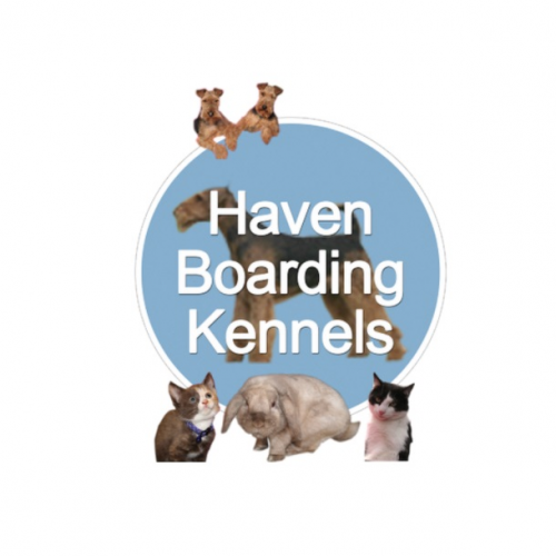 Company Logo For Haven Boarding Kennels &amp; Cattery'