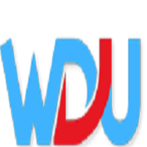 Company Logo For Website Development USA'