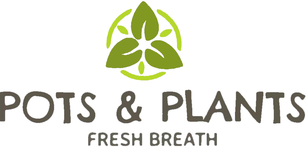 Company Logo For Pots & Plants'