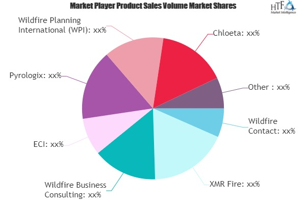 Wildfire Consulting Market