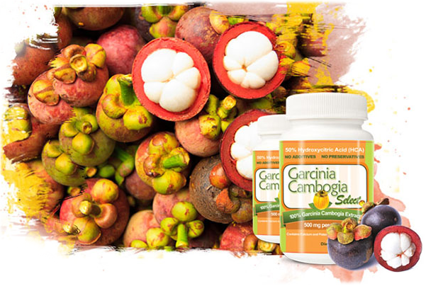 Garcinia Cambogia Select'