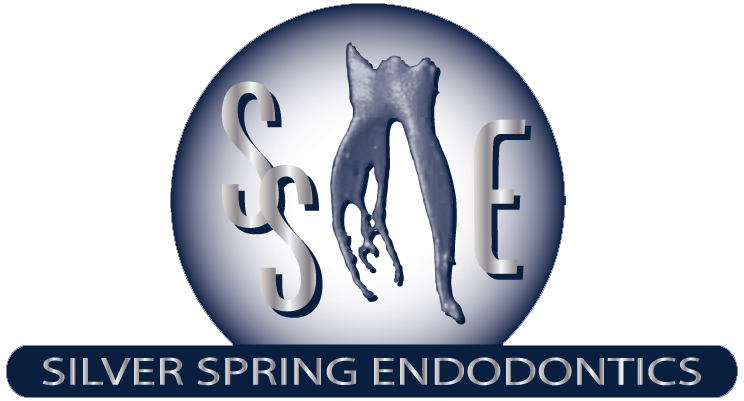Company Logo For silver spring endodontics'