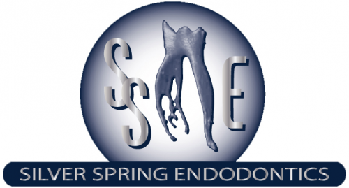 Company Logo For silver spring endodontics'