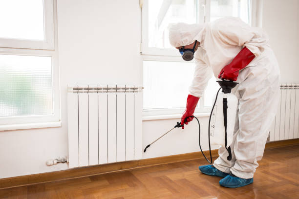 Company Logo For Local Bed Bug Control Brisbane'