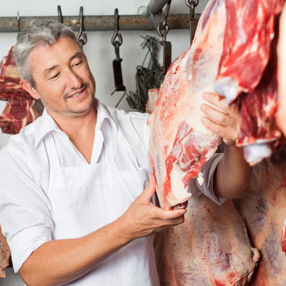 Deer Processing'