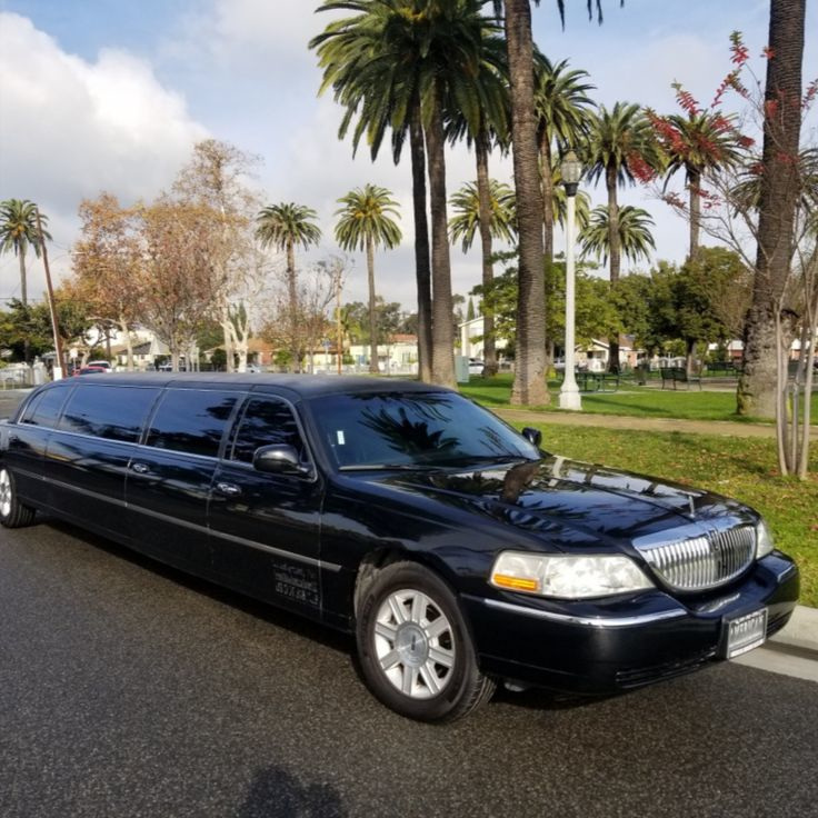 Transportation and City Tour'