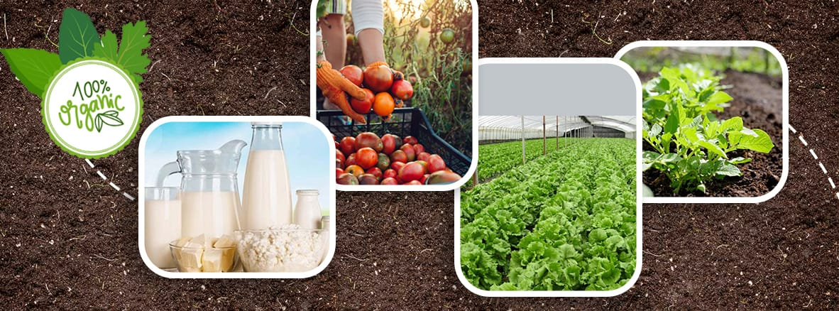 Company Logo For Organic Planters'