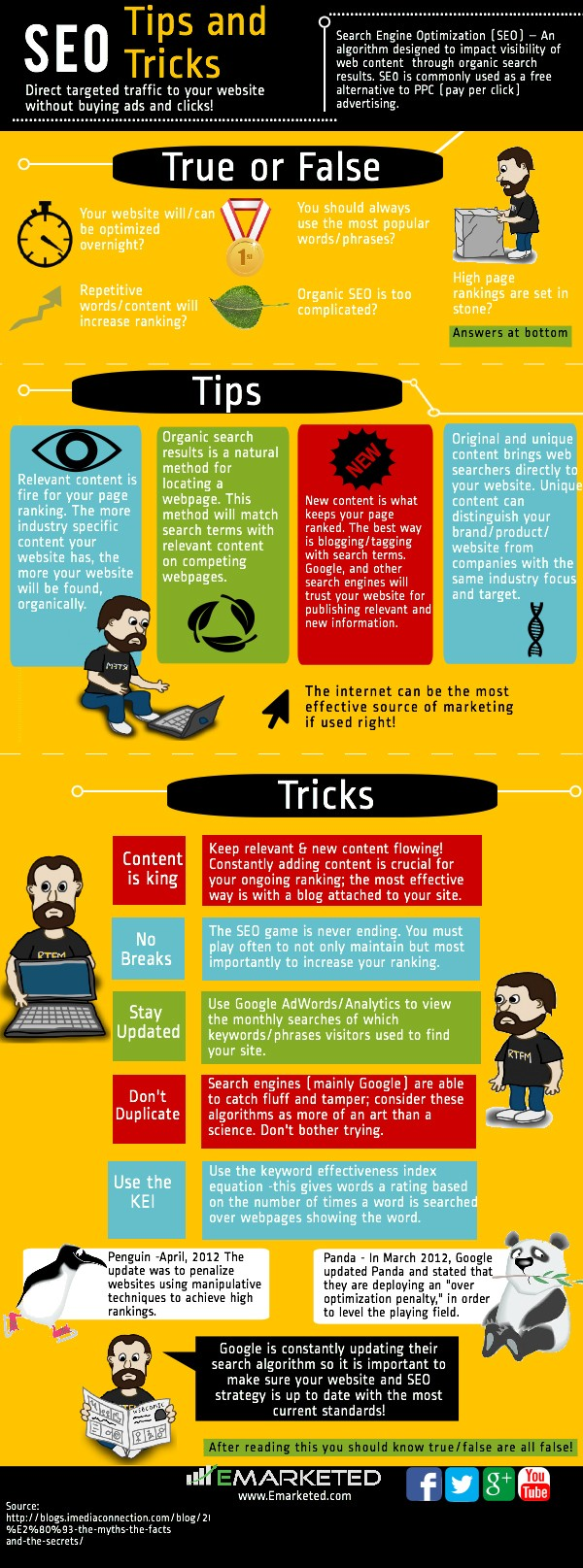 SEO Infographic'