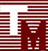 Company Logo For Techmaster Electronics Inc.'