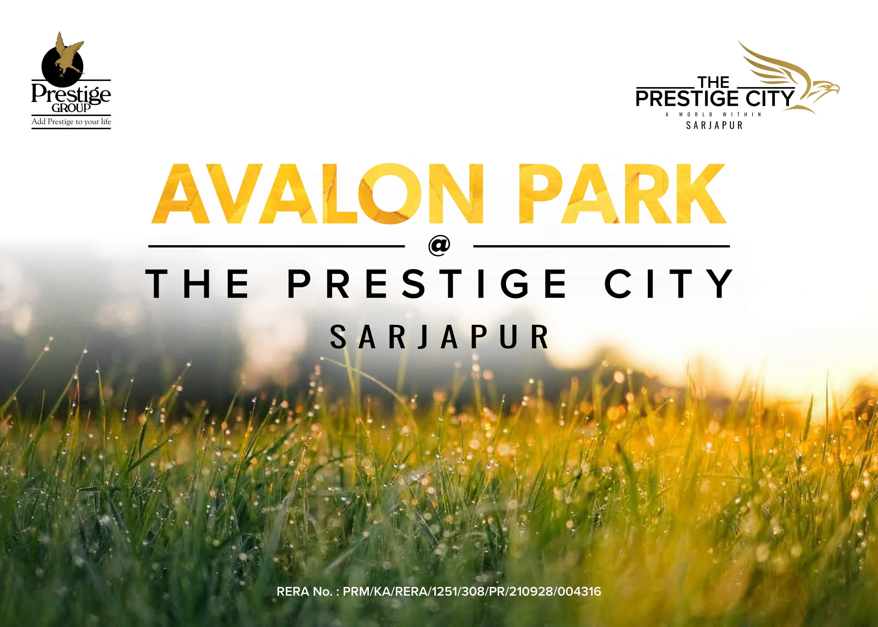 Prestige City Avalon Park
