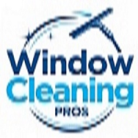 Window Cleaning Delray Logo