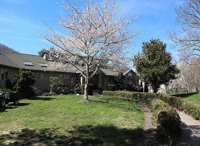 Women's Rehabilitation Center Asheville'