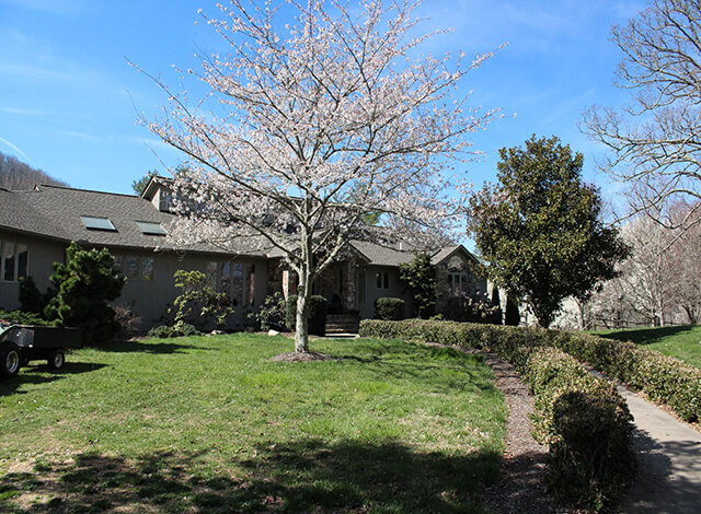 Women&#039;s Rehabilitation Center Asheville'