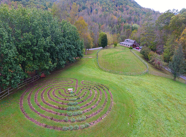 Women's Dual Diagnosis Treatment North Carolina'