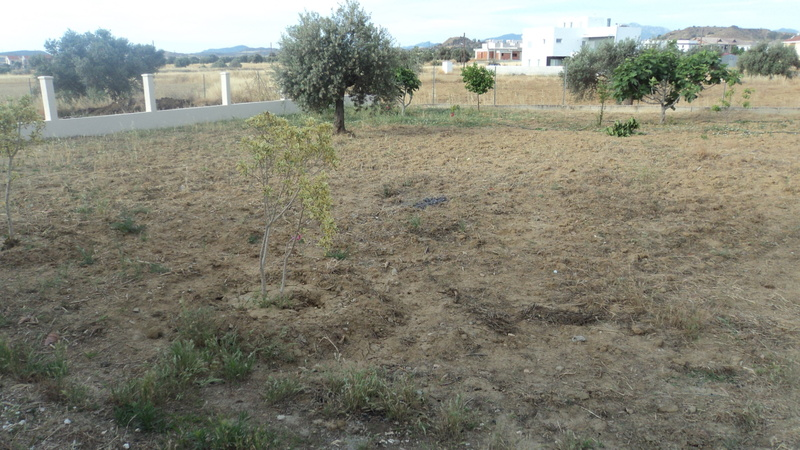 Help Chickens to find a proper home.'