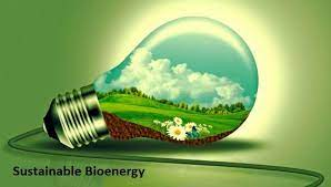 Sustainable Bioenergy Market'