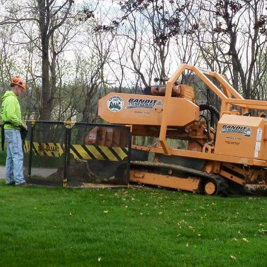 Stump Removal'