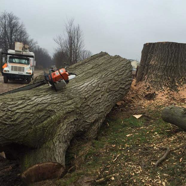 Land/Lot Clearing'