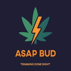 Company Logo For ASAP Bud'