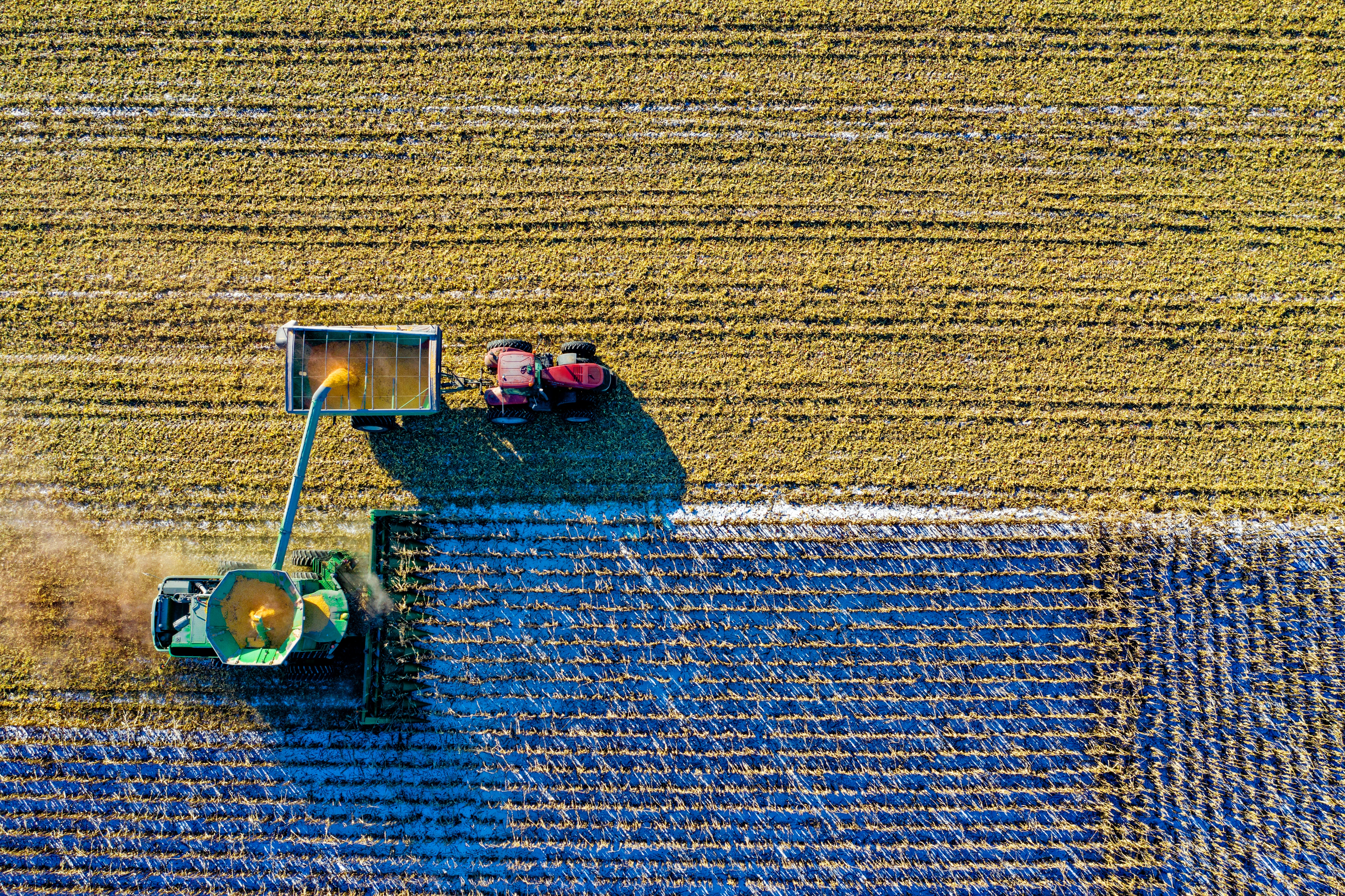 Popular Weed Killer Causing Harm to Farmers'