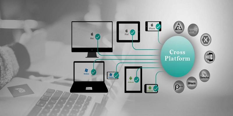 Cross-Platform Developer Services Market