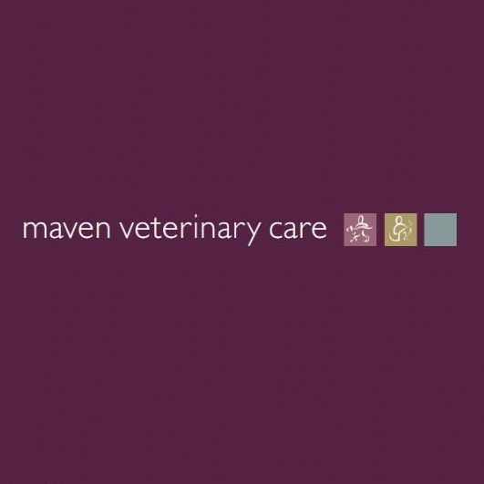 Company Logo For Maven Vets'