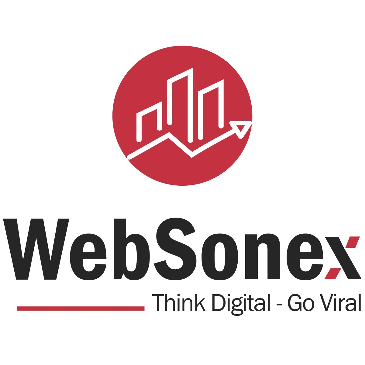 WebSonex - Digital Marketing Agency Logo