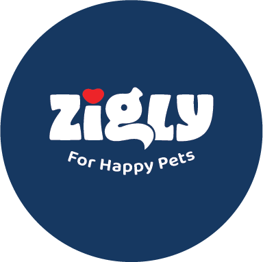 Company Logo For Zigly'