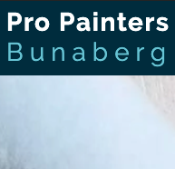 Company Logo For Pro Painters Bundaberg'