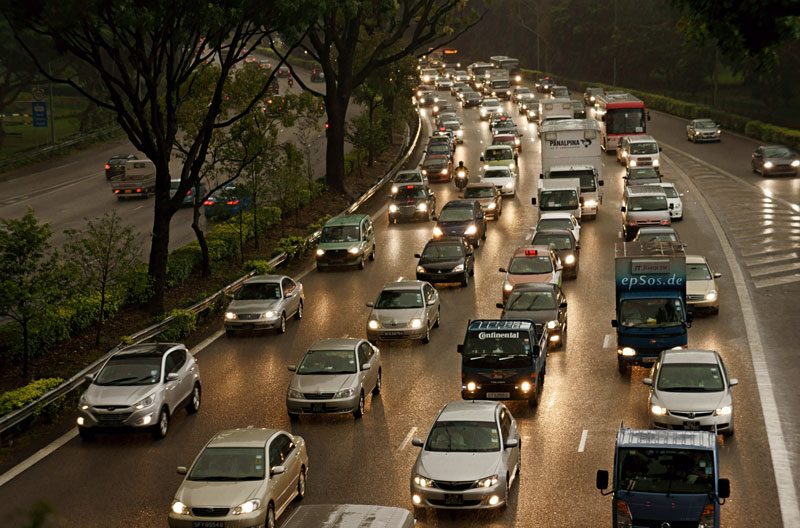 Insured101.com Study Reveals'