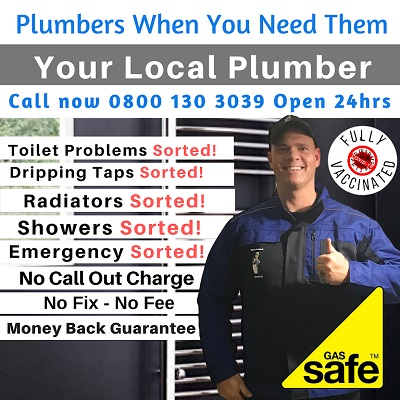 Your Local Plumber Newbury Logo