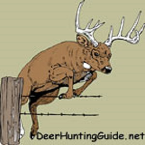 Company Logo For DeerHuntingGuide. net'