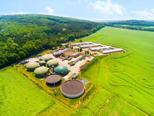 Biomass Energy Market'