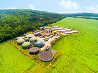 Biomass Energy Market