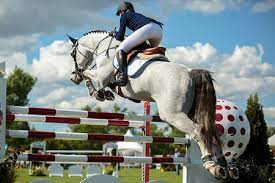 Equestrian Insurance Market'