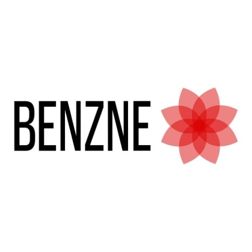 Company Logo For Benzne Consulting Private Limited'