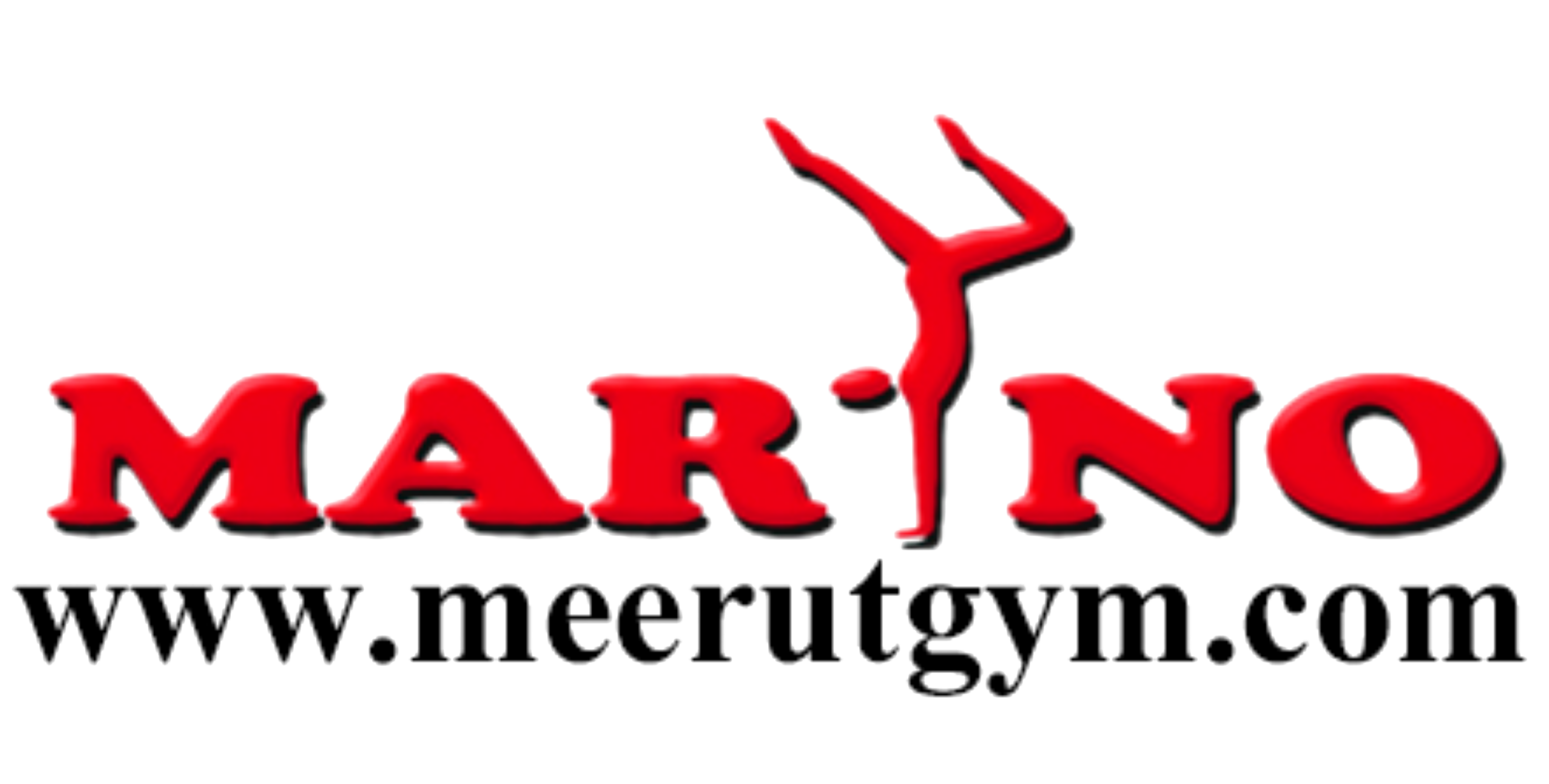 Company Logo For Meerut Gym'