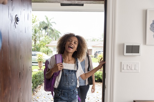 Security Systems American Fork'