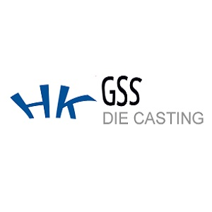 Company Logo For HK GSS Electronic Co., Ltd.'