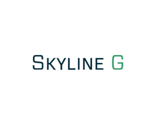 Skyline G - Executive Coaching & Leadership Developm'