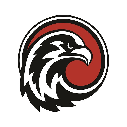 Company Logo For FALCON WD WINDOWS AND DOORS'