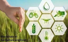 Blockchain in Agriculture and Food'