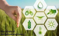 Blockchain in Agriculture and Food
